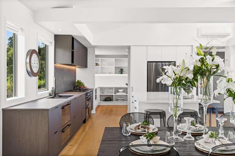 153H Green Road Dairy Flat_2