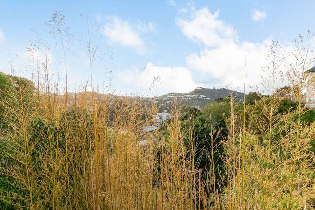 34E Upland Road Kelburn_1