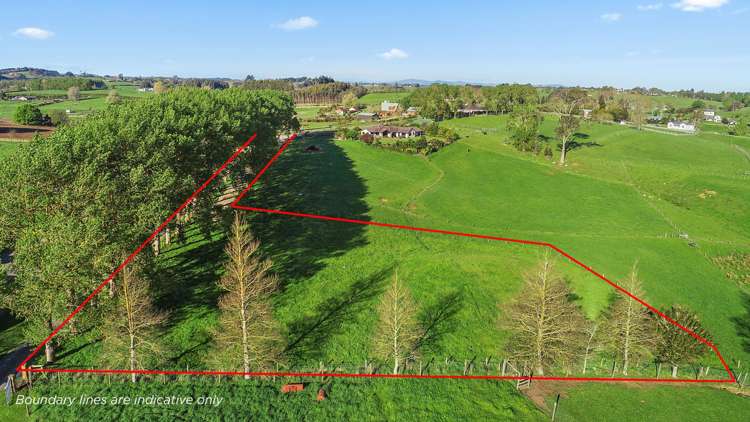 41 Mccandlish Road Ngahinapouri_7