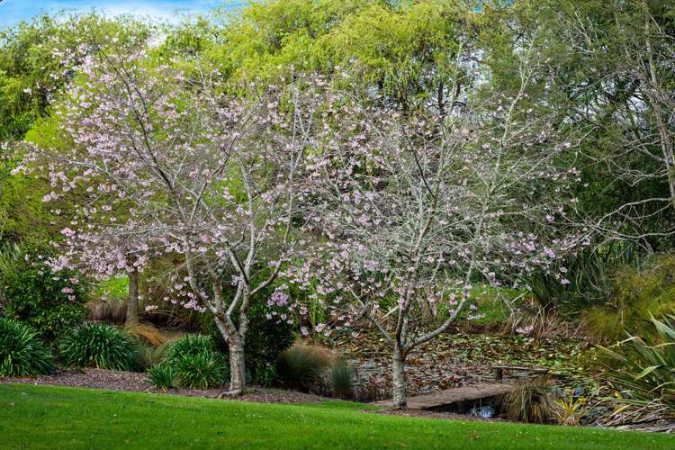 2 Tourist Road Clevedon_22