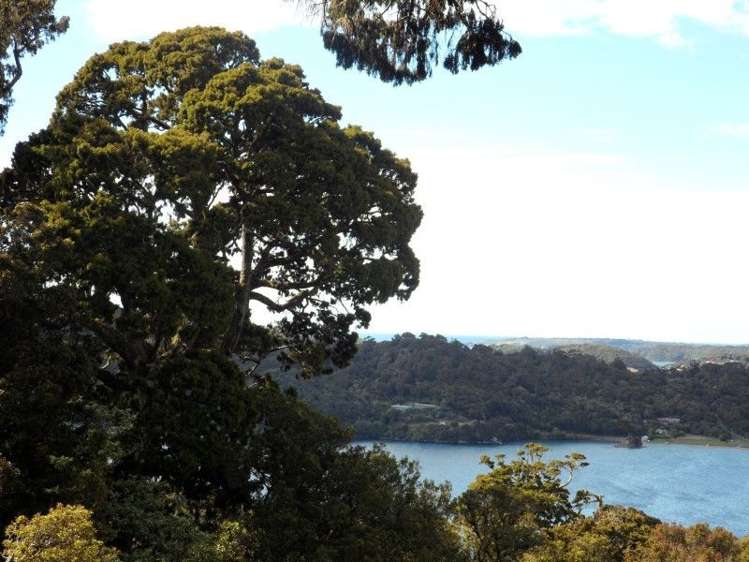 361 Back Road Stewart Island/Rakiura_8