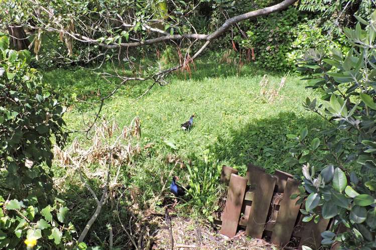 373 Saint Aubyn Street Moturoa_9