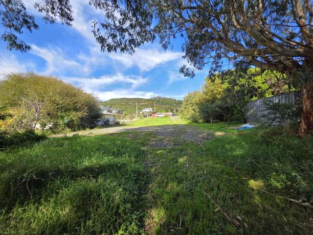 53 Theodore Street Bluff_2