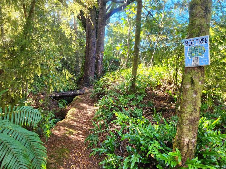 499 Nelson Creek Road Ngahere_27