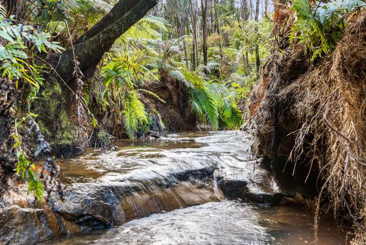 320 Upper Waiwera Road Puhoi_24