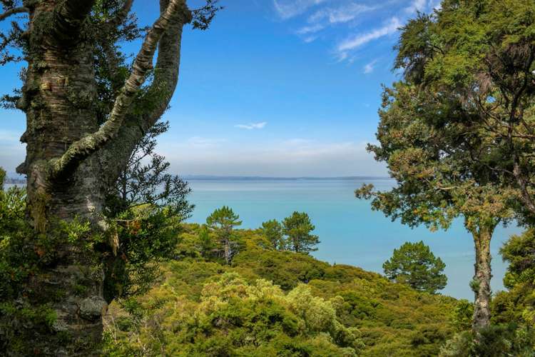 65 Takahe Road Titirangi_8