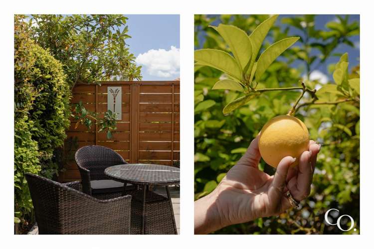 35 Landscape Road Otumoetai_11