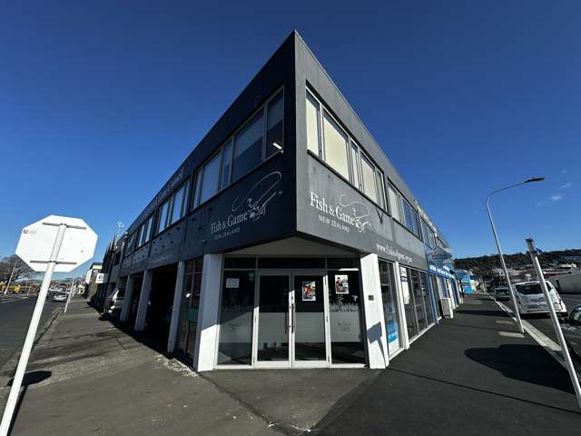 243 Hanover Street Dunedin Central_1