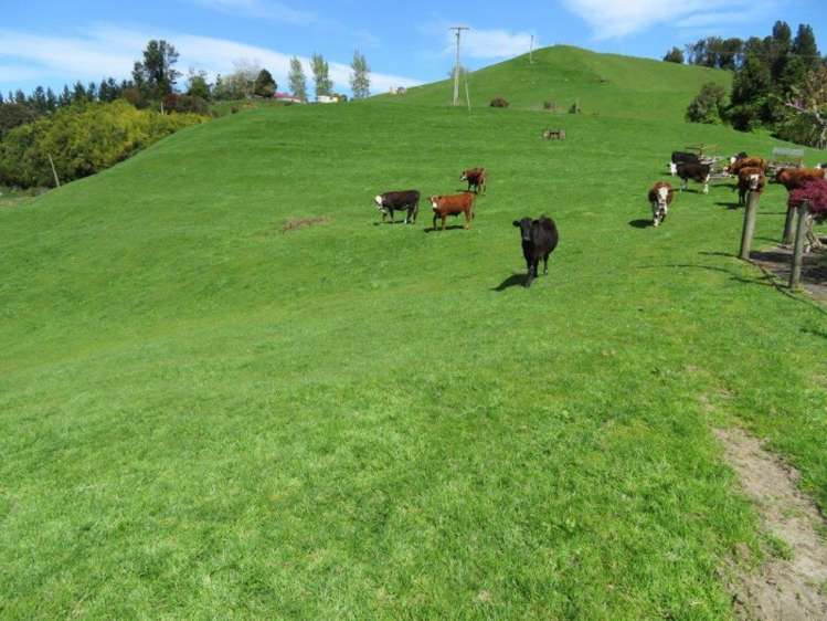 68 Kopaki Road Te Kuiti_17