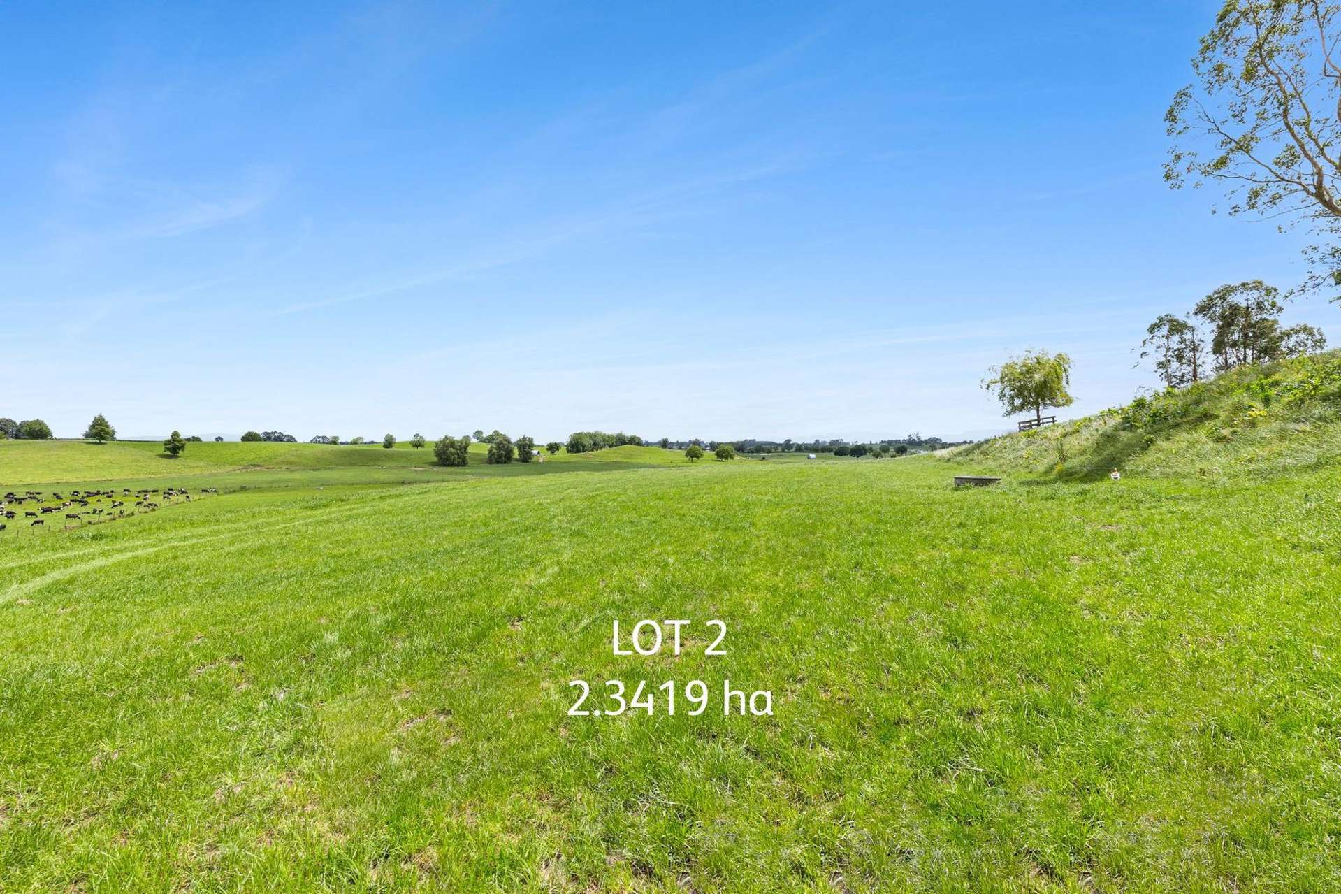 Lot Lot 2, 3 & 5 Harwoods Road Tirau_0
