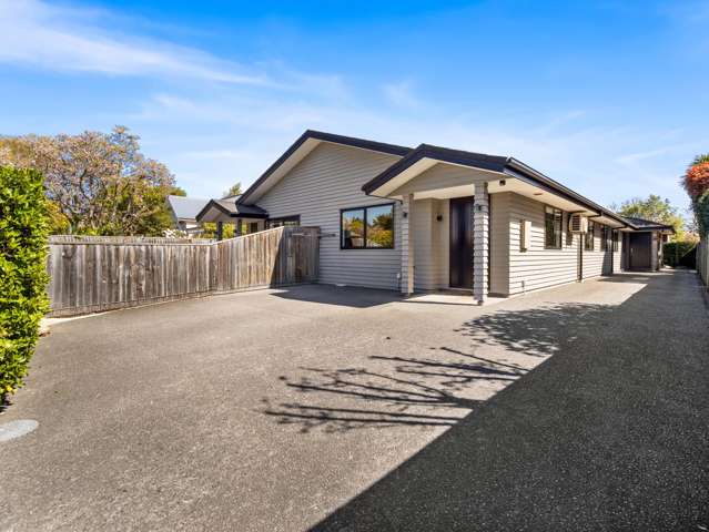 103 Colombo Street Somerfield_2