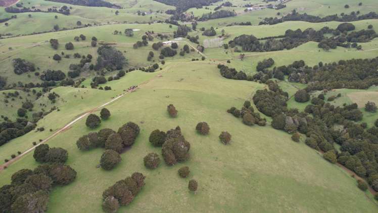 4283 State Highway 12 Dargaville Surrounds_7