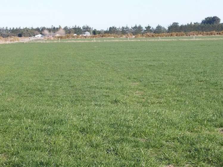 3510 Main South Road Dunsandel_18