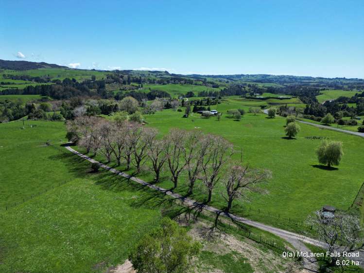 McLaren Falls Road_2