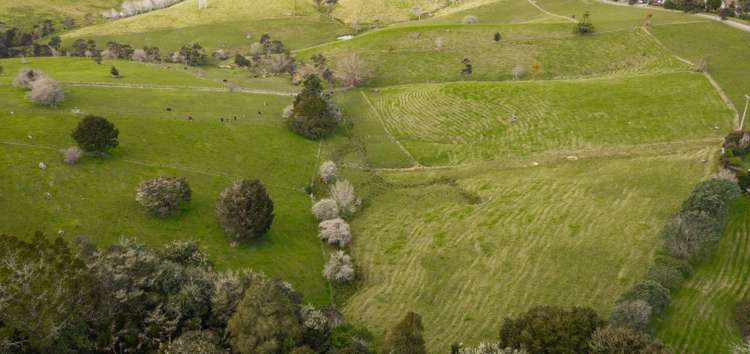 167 Anderson Road Kaukapakapa_30