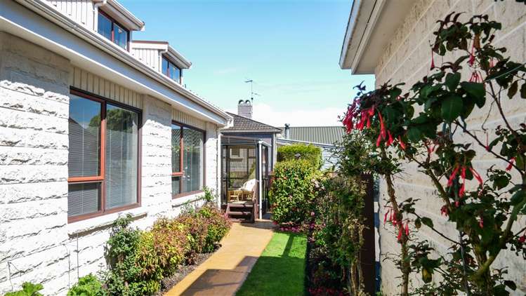 3/227 Bridge Street Nelson City_23