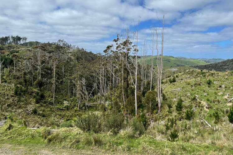 3716 Kaipara Coast Highway Mangakura_16