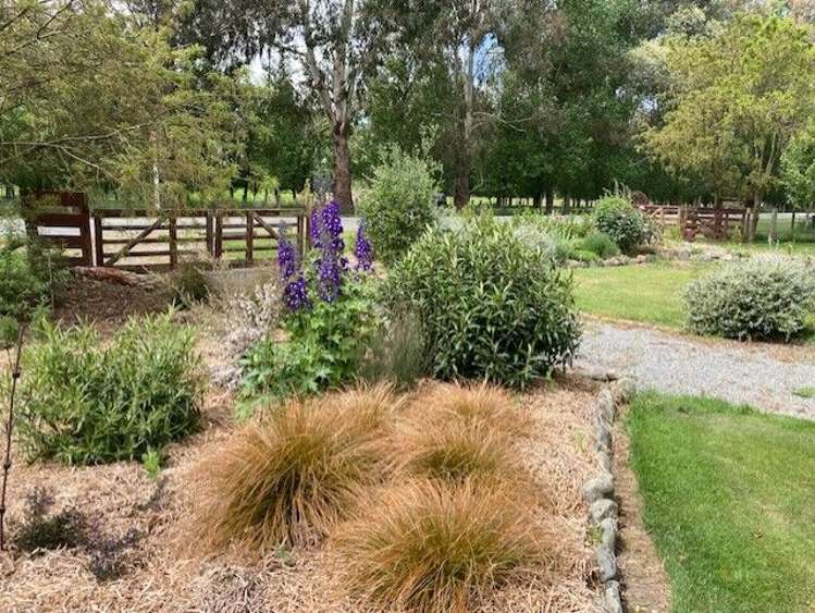 21 Pleasant Valley Road Geraldine_20