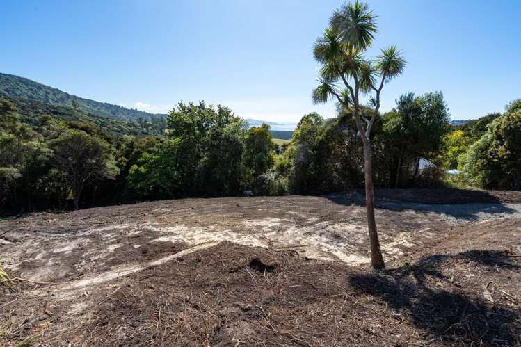 16 Rowland Street Osborne_16