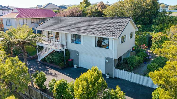 8 Makatote Grove Churton Park_34