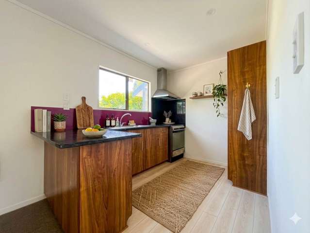 Nikau Street New Lynn_2