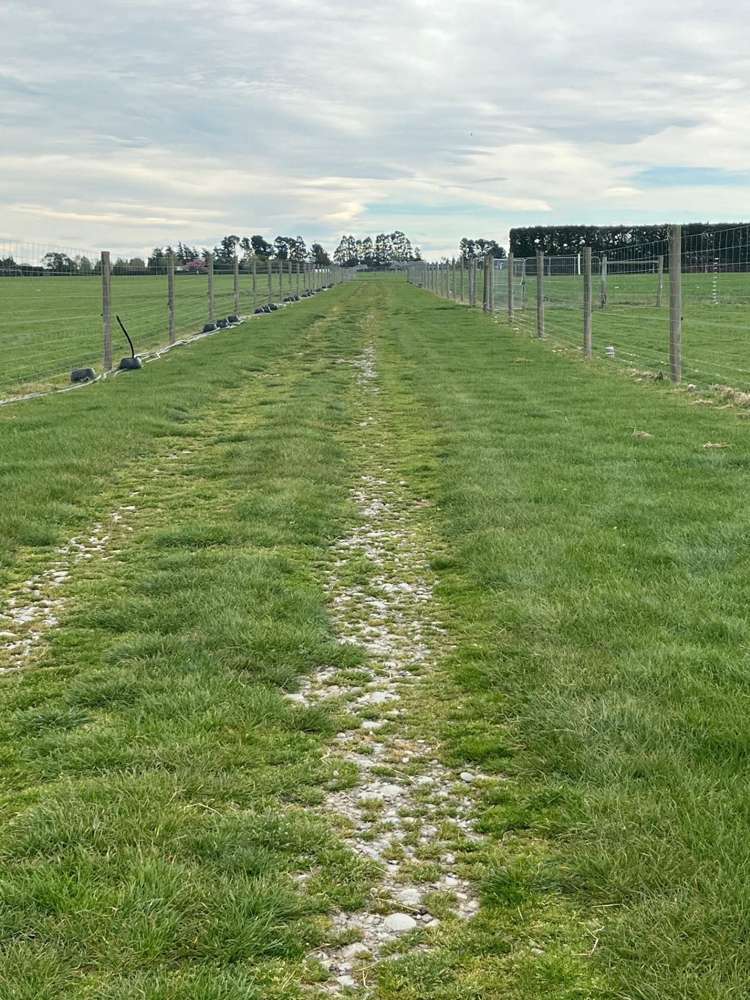 102 Coplands Road Ashburton_36