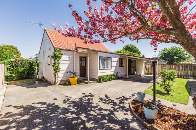 39A Bedford Road Marewa_21