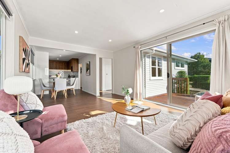 17 Laurel Street Mount Albert_4
