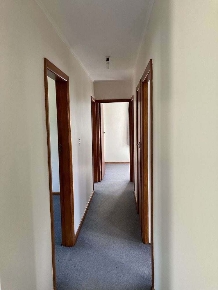 2 Camperdown Road Miramar_6