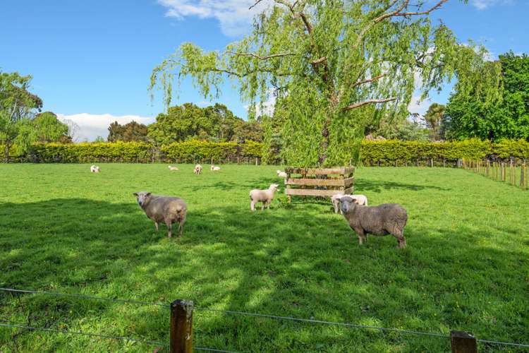 773 Great South Road Runciman_16