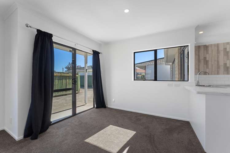 28a Freyberg Street Roslyn_13