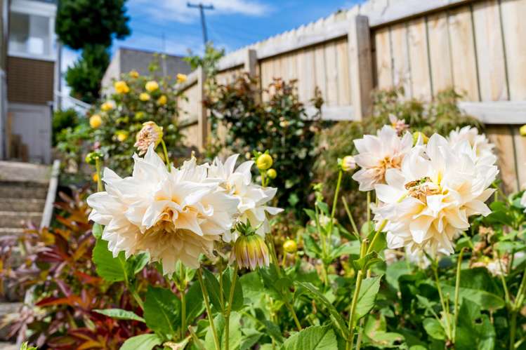 108 Mornington Road Kenmure_17