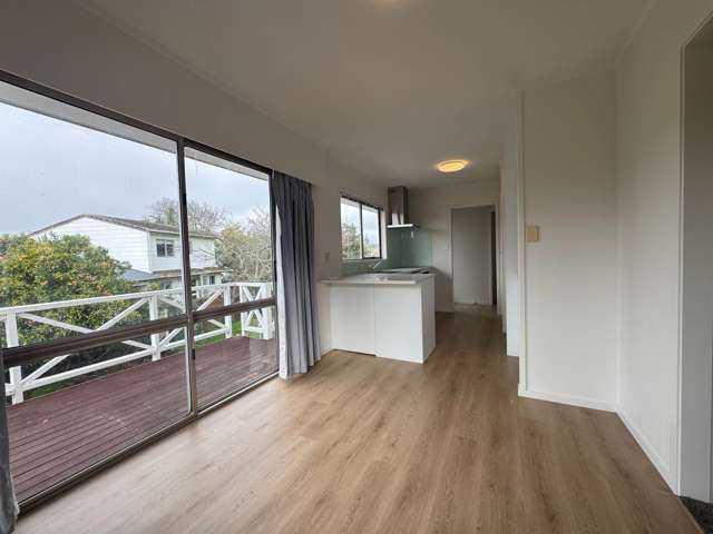 34 Mirrabooka Avenue Botany Downs_2