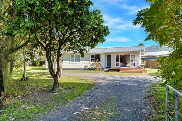 Renovated Kitchen, Big Section, Great Lifestyle