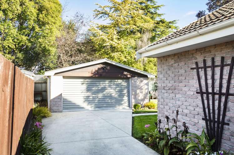 76 Solomon Avenue Redwood_17