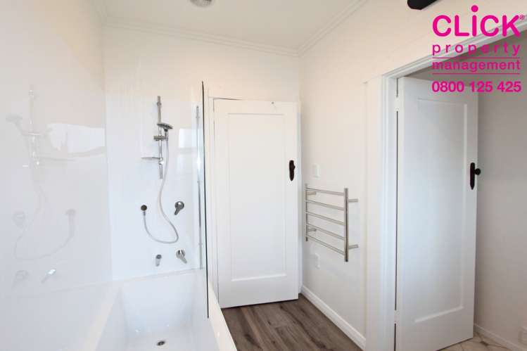 111 Mornington Road Kenmure_5