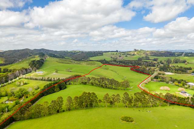 39 Riddell Road Kerikeri_1