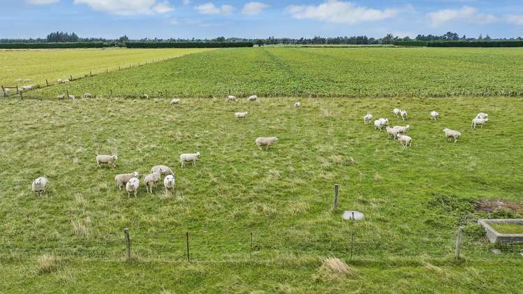 270 Stokes Road Balcairn_8