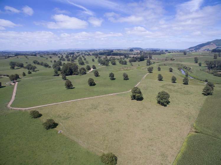 267 Frontier Road Te Awamutu_7