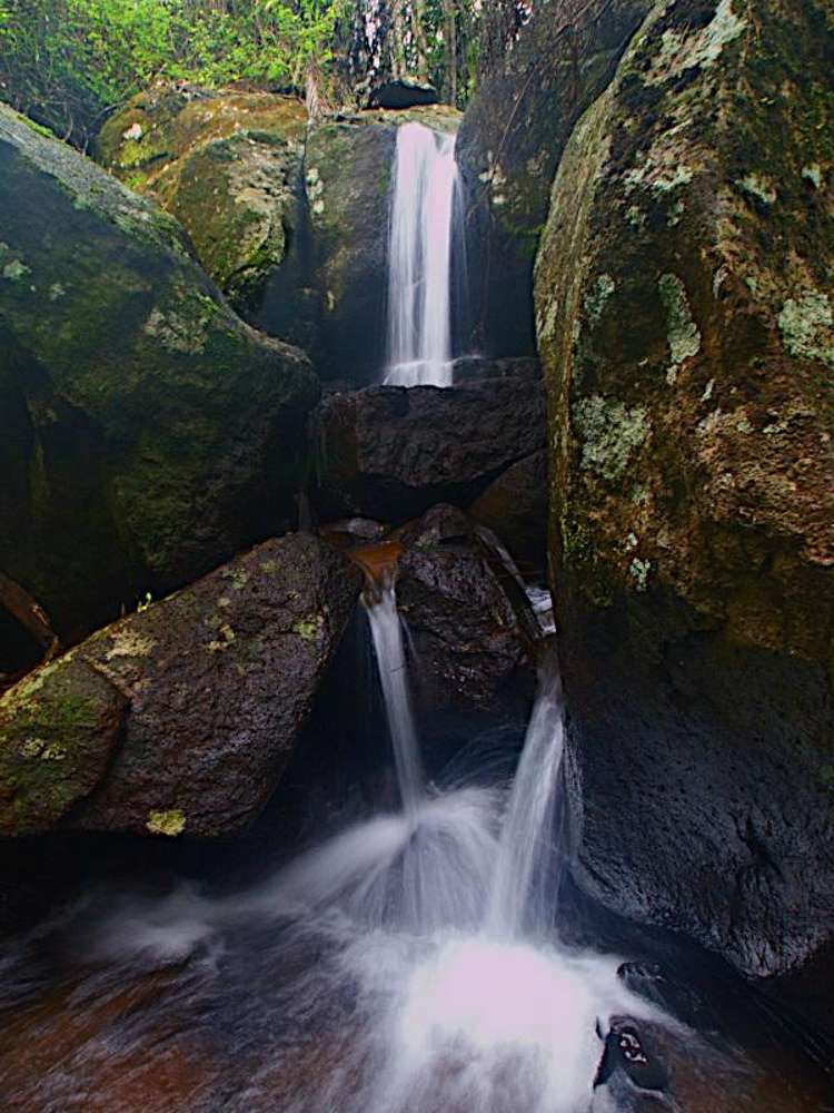 28a Geissmann Street Tamborine Mountain_18