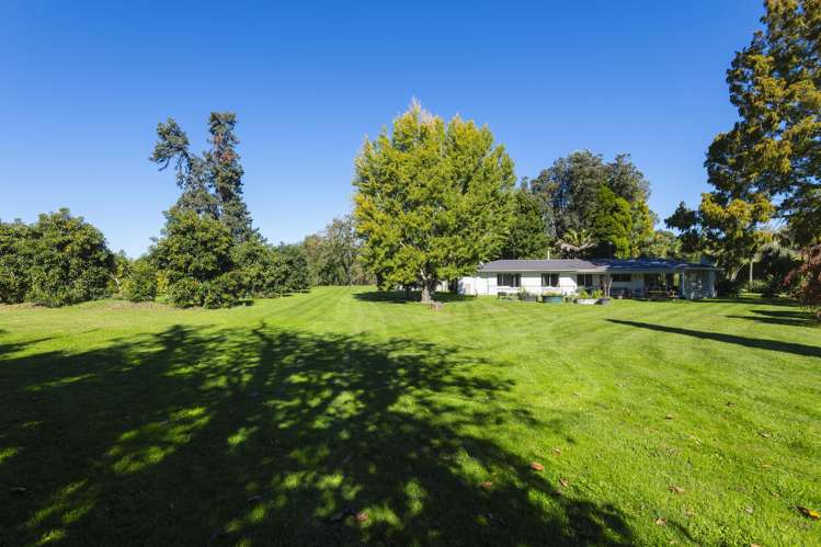 139 Taurau Valley Road Manutuke_60