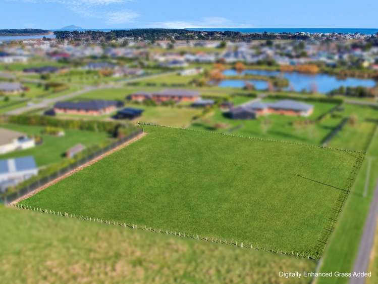 3 Carex Grove_3