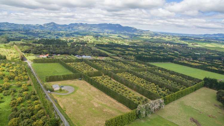 143 Norris Road Maungatapere_13