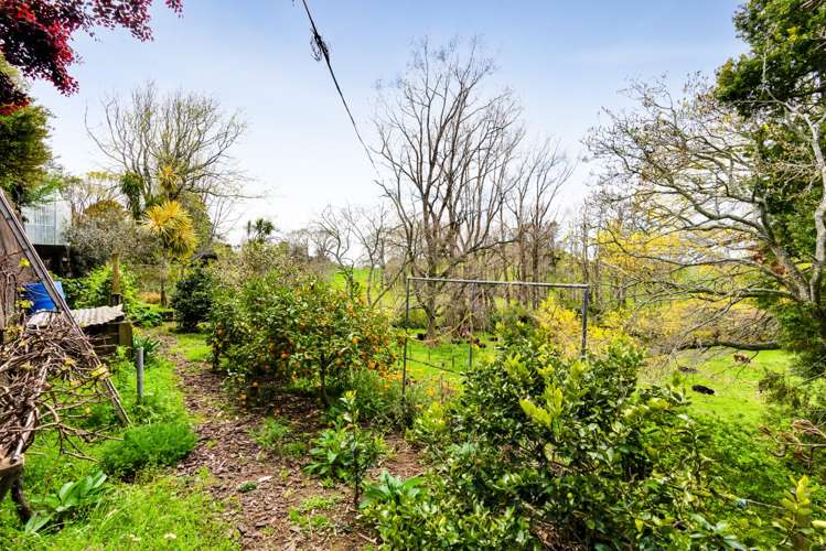 349 Tukapa Street Hurdon_35