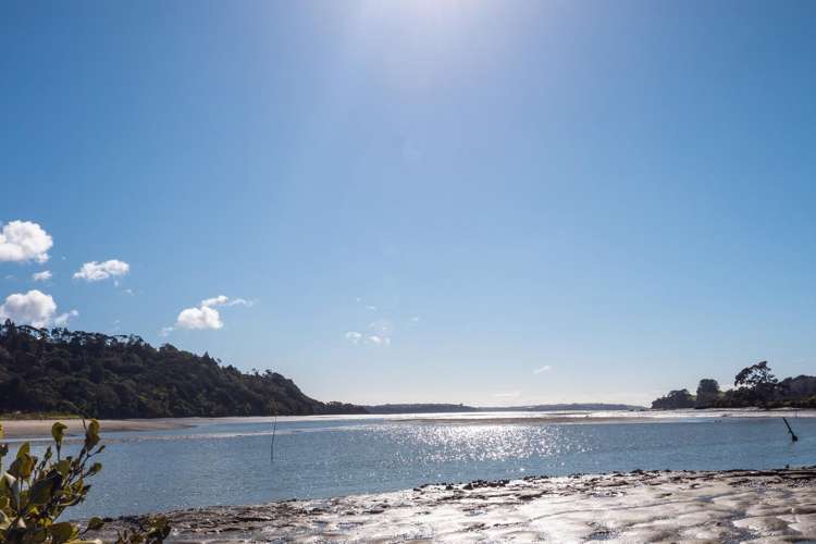 53 Okura River Road Okura_31