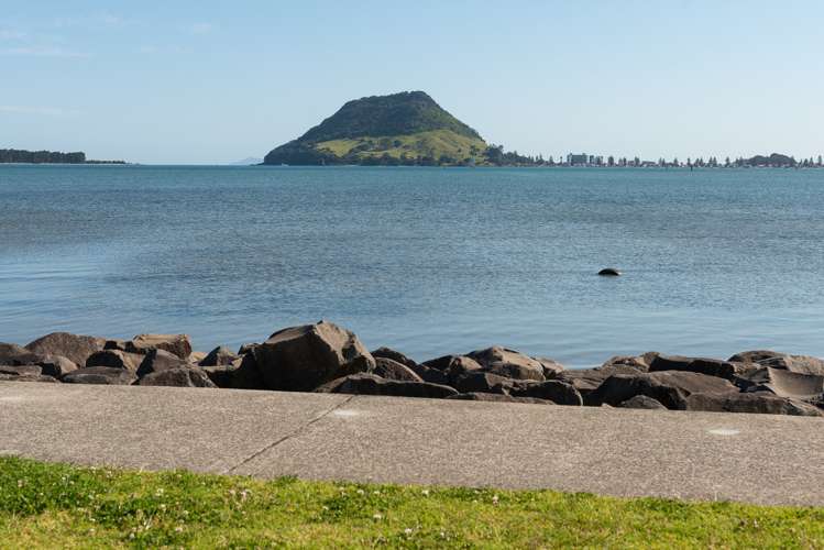 2/64 Harbour Drive Otumoetai_10