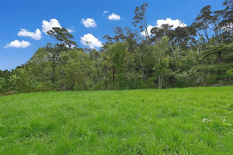 5 A, B, C Chatham Avenue Paremoremo_10