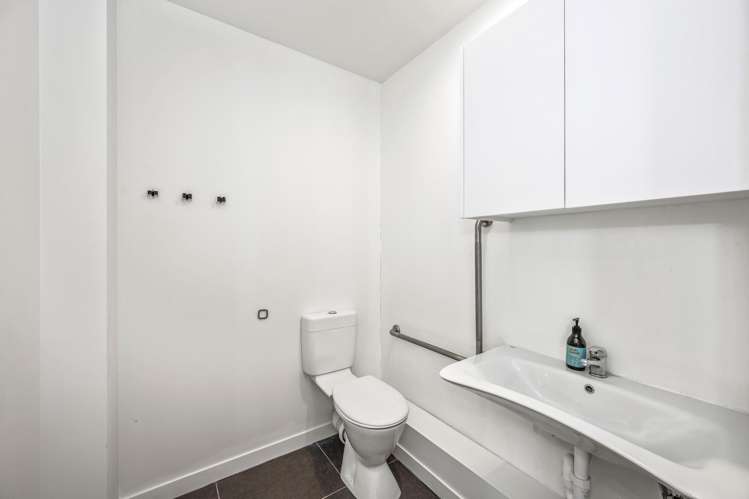 17C Pollen Street Grey Lynn_8