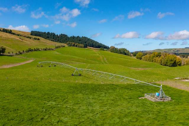 Dairy/Beef/Low-Cost Irrigation