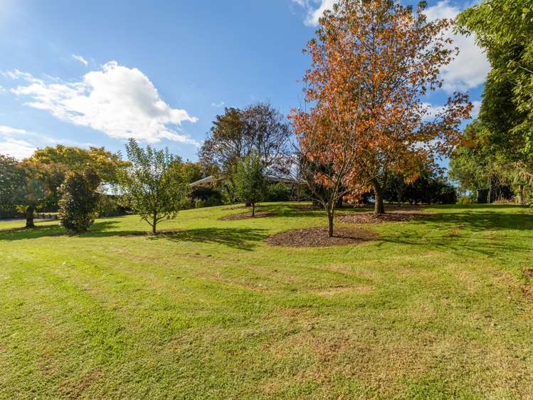 86 Prole Road Omokoroa_34